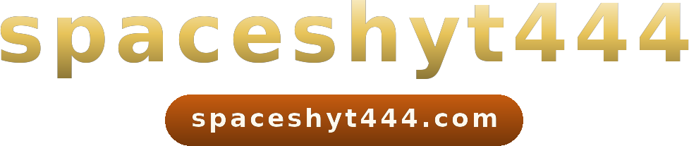 spaceshyt444 logo